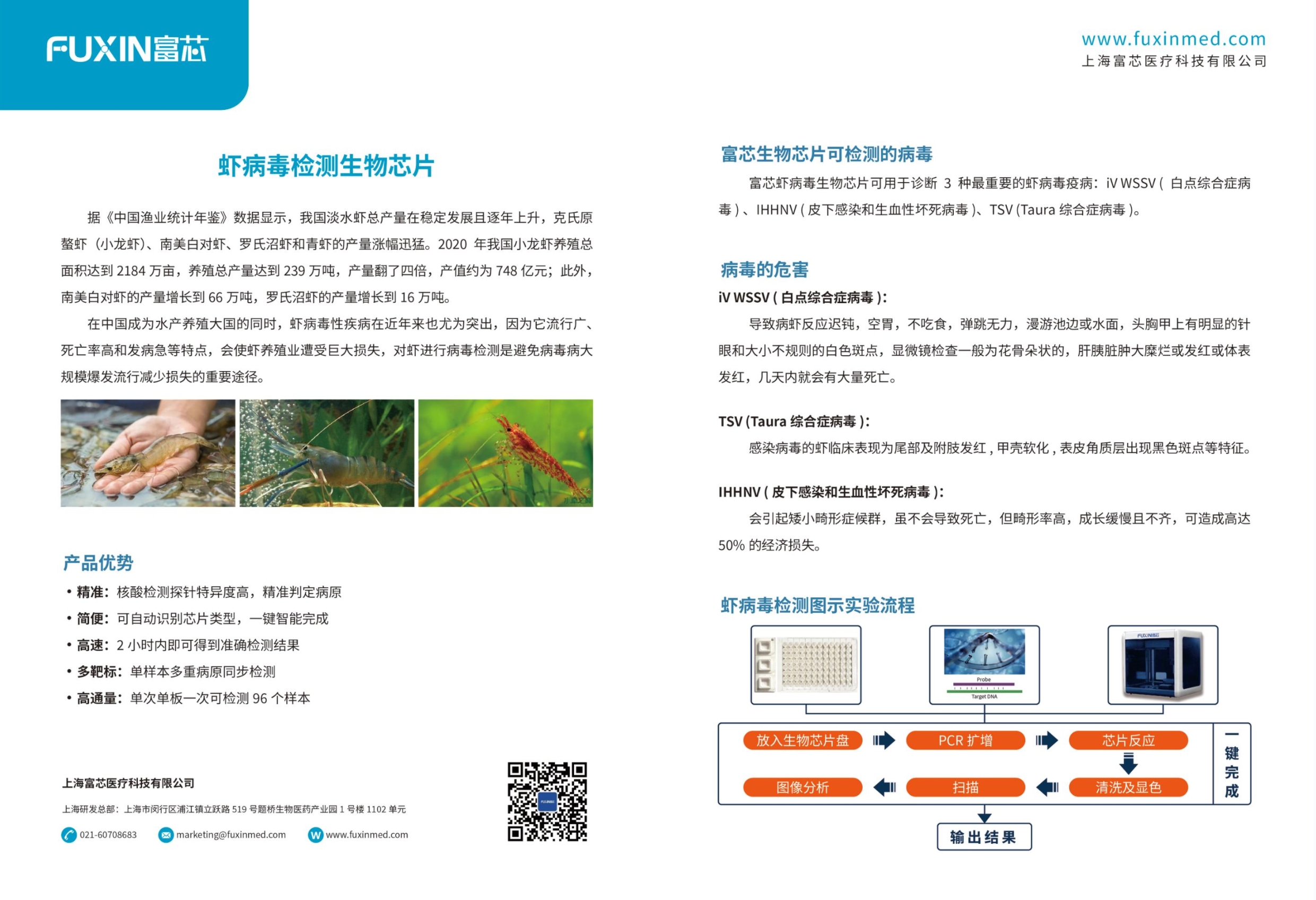 虾病毒检测生物芯片