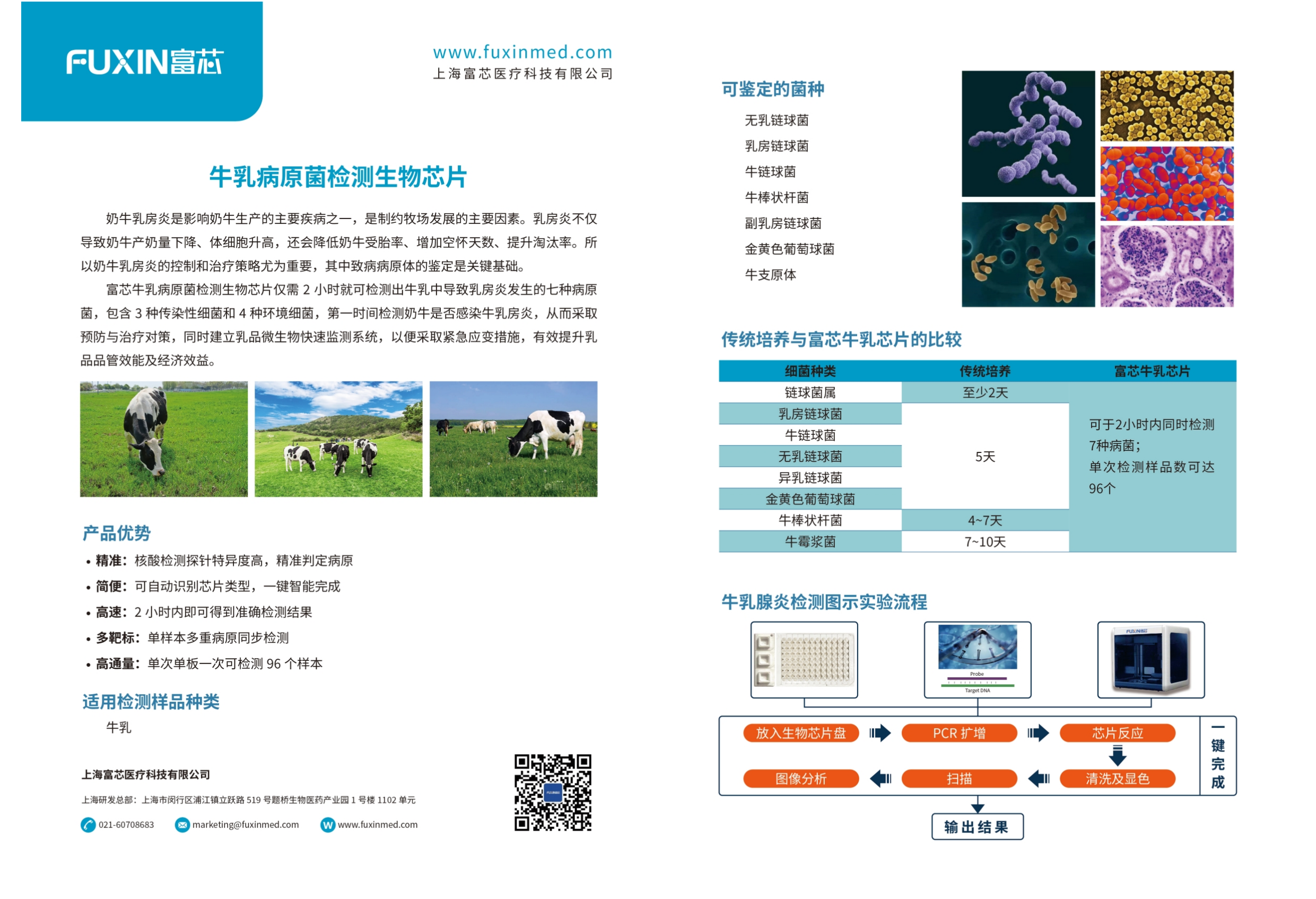 牛乳病原菌检测生物芯片