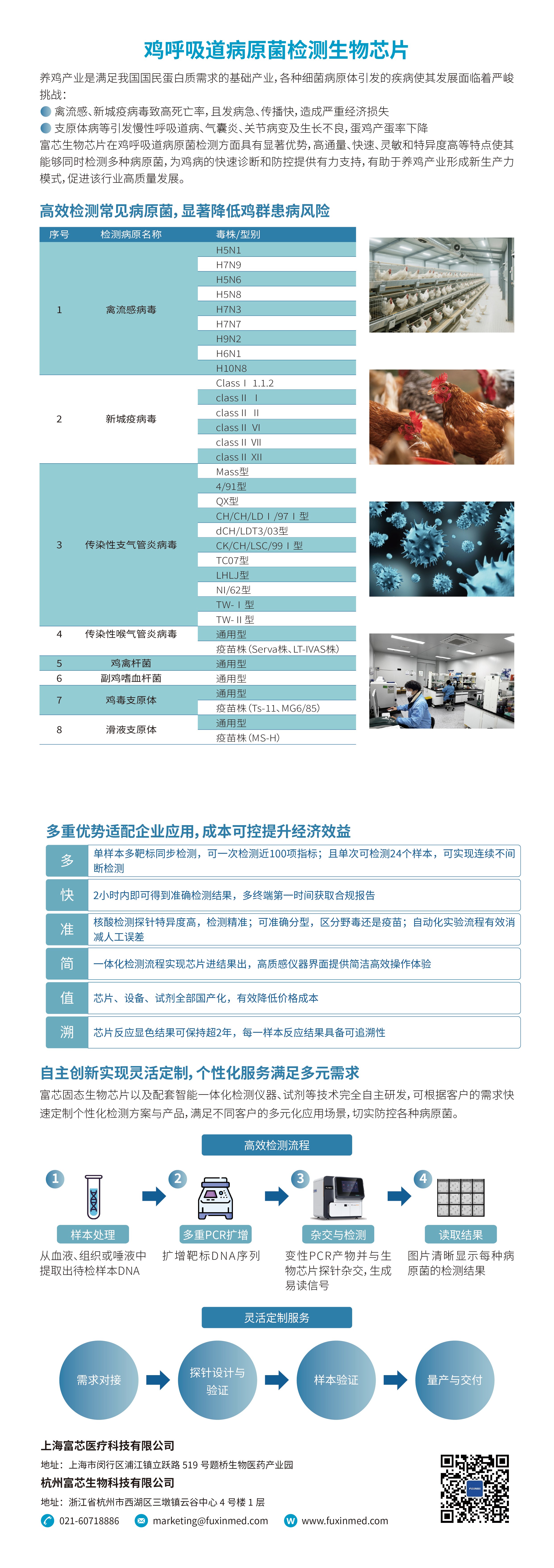 鸡呼吸道病原菌检测